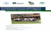 El manejo financiero de organizaciones agro‐forestales ...³logo Este estudio es parte de una iniciativa más amplia que la FAO y el NFP Facility, juntos con ACICAFOC y otras organizaciones