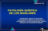 PATOLOGÍA QUÍSTICA DE LOS MAXILARES radicular: apical, lateral y residual quiste paradental (colateral inflamatorio, bucal mandibular infectado) uQuistes no epiteliales ...