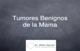 Fotos tumores benignos - todosobreelcancer.comtodosobreelcancer.com/pdf/tumores_benignos_mama.pdf · Tumores Benignos de la mama ... –Retracción del pezón por fibrosis del conducto.