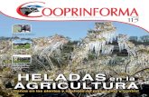 HELADAS en la AGRICULTURA - cooprinsem.clcooprinsem.cl/home/pdf/cooprinforma/cooprinforma115.pdfLA REVISTA DE COOPRINSEM - ENERO/FEBRERO 2013 - DISTRIBUCIÓN GRATUITA 115 Daños en