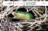 ARGENTINA 41 EN ESPAÑA - .:: Seguimiento de Aves …€¦ ·  · 2016-04-05la cotorra argentina en espaÑa Índice 3 Índice prÓlogo 4 agradecimientos 6 introducciÓn 8 sobre la