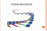 ÁCIDOS NUCLÉICOS - "Actividades Ciencias de la ... La consecuencia de este enlace es que, mediante él, pueden formarse largas ... virus. -) En las eucariotas el ADN se ubica, fundamentalmente,