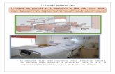 1enfnocturno.files.wordpress.com€¦  · Web viewLa unidad del paciente es la habitación o cama como sitio donde tiene que permanecer durante determinado tiempo, por lo tanto,