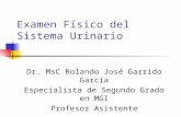 [PPT]Examen Físico del Sistema Urinario - Infomed, Portal de la ... · Web viewExamen Físico del Sistema Urinario Dr. MsC Rolando José Garrido García Especialista de Segundo Grado