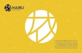 De origen japonés, Haibu quiere decir “colmena”, pero ...haibusolutions.cl/hb/wp-content/uploads/2018/01/brochure-digital.pdf · De origen japonés, Haibu quiere decir “colmena”,