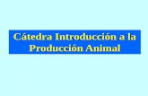 Cátedra Introducción a la Producción Animal desarrollo de la polla reproductora puede ser evaluado mediante diferentes técnicas fundadas en estudios de zoometría que proporcionan