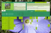 Universidad de Granadaufut/downloads/inventario-especies-vegetales-2010-03... · Clase: Magnoliopsida Subclase: Dilleniidae Orden: Ericales Familia: Ericaceae Subfamilia: Arbutoideae