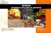 BIOMASA - TD Sistemas | Empresa de Software para ... El pelet de biomasa es un biocombustible estandarizado a nivel internacional. Se conforman como pequeños cilindros procedentes