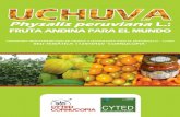 Physalis peruviana - Vidarium | Medellín · 5 PRÓLOGO ctualmente la Physalis peruviana L. es una de las frutas exóticas más importantes en términos de exportaciones para varios