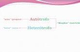 [PPT]Fotosíntesis · Web viewAutótrofo Heterótrofo “auto” (propio) “thophos” (nutrición) “heter” (otro) Fotosíntesis Proceso mediante el cual las plantas, algas y