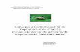 Guía para identificación de Tephritidae de Chile y ...biblioteca-digital.sag.gob.cl/documentos/mosca_fruta/guia_territi... · para reaccionar rápidamente ante la detección de