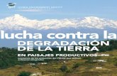 DEGRADACIÓN DE LA TIERRA - Global Environment Facility · Estructura del informe ... efecto catalizador del FMAM, las prácticas óptimas para la gestión integrada, los enfoques