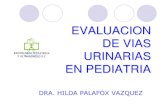 EVALUACION DE VIAS URINARIAS EN PEDIATRIAsmri.org.mx/memorias/rad2010/platicas/45.pdf ·  · 2014-09-24UROGRAFIA EXCRETORA Visualización del tracto urinario Detalle anatómico Función