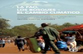 La FAO, los bosques y el cambio climático · las estrategias de mitigación incluyen la reducción de emisiones derivadas de ... social y medioambiental de todos los tipos de bosques,