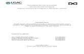 Universidad de San Carlos de Guatemala Dirección General ...digi.usac.edu.gt/bvirtual/informes/prunian/INF-2015-25.pdf · INFORME FINAL Estudio químico y funcional de carotenoides