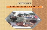 SERVICIOS DE LA SALUD - white.lim.ilo.orgwhite.lim.ilo.org/spanish/260ameri/oitreg/activid/proyectos/actrav/... · Así por ejemplo, a mediados del 2005, en el sistema de salud chileno