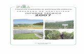 INFORME TECNICO 2007 PROGRAMA DE HORTALIZAS … · cuajado de frutos y en el rendimiento de fruta exportable ... principalmente El Salvador. ... Evaluación de vigor a los 40 ddt