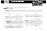 3 Determinantes - Página de Jaime Pinto Rodríguezjaimepinto.es/2bachcss/Sol 03 Determinantes.pdf · Halla el valor de los siguientes determinantes y com-prueba que son ... Dada