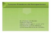 Dr. Anatole Luis Bender Profesor Adjunto Cátedra de ...blogs.eco.unc.edu.ar/.../12/Tumores-Primitivos-del-Retroperitoneo.pdf · Tumores Primitivos del Retroperitoneo De la definición