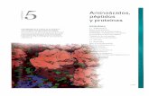 Aminoácidos, péptidos - Bibliotecabiblio3.url.edu.gt/Publi/Libros/2013/Bioquimica/08-O.pdf · En la Figura 5.1 se presentan ejemplos selectos de la diversidad de las proteínas.