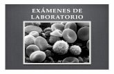 EXçMENES DE LABORATORIO - Semiologia 2010semiologia-unab.wikispaces.com/file/view/Examenes+laboratorio.pdfEvaluación al microscopio de la morfología Recuento diferencial de los