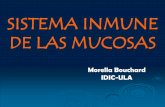 INMUNIDAD DE LAS MUCOSAS - medic.ula.ve en la Placa de Peyer ... •Expresión diferencial de receptores de superficie Immunol Today 2000, 21:109-157; ... Manual Moderno. 2002. ...