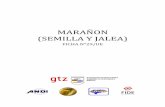 MARAÑON (SEMILLA Y JALEA) - resultados1.com · promedio de área cultiva por productor ... la producción mundial de semillas de marañón con cáscara ... Los niveles de consumo