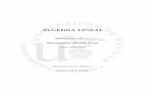 Apuntes elaborados por - matematicas.unex.esmatematicas.unex.es/~navarro/algebralineal/meneses.pdf · ALGEBRA LINEAL JUAN GONZ´ ALEZ-MENESES´ 1 Tema 1. Matrices. Determinantes.