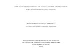 CARACTERIZACION DE LOS OPERADORES PORTUARIOS …biblioteca.unitecnologica.edu.co/notas/tesis/0030622.pdf · caracterizacion de los operadores portuarios ... caracteristica general