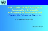 Curso de Preparación y Evaluación de Proyectos · CEPAL/ILPES VIII CURSO INTERNACIONAL Preparación y Evaluación de Proyectos de Desarrollo Local Evaluación Privada de Proyectos