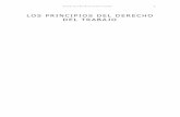 LOS PRINCIPIOS DEL DERECHO DEL TRABAJO - Favio …faviofarinella.weebly.com/uploads/8/7/8/2/878244/2-_apuntes_sobre... · 2 Los principios del derecho del trabajo, 3ª edición actualizada,