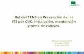 Rol del TENS en Prevención de las ITS por CVC: …enfermeria.medicina-intensiva.cl/tens/2.Rol del TENS en ITS.pdfRol del TENS en Prevención de las ITS por CVC: Instalación, mantención