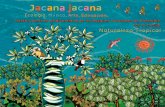 NATURALEZA TROPICAL - Jacana Jacana | Ecología, …jacanajacana.com/wp-content/uploads/2011/07/cartilla...Maya Amézquita, Mayte y Malaika Alviar, Luisa y Alfre-do Palomino, Sajana