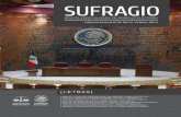 PUBLICACIÓN SEMESTRAL Dic’09 - May’10 Sistema Interamericano de Protección de los Derechos Humanos: especial referencia caso Castañeda vs México José de Jesús Becerra Ramírez