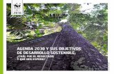 CO 2016d2ouvy59p0dg6k.cloudfront.net/downloads/agenda_2030_y...GEF Conservación de la biodiversidad en paisajes impactados por la minería en el Chocó Biogeográfico1, iniciaron