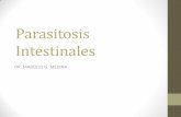 Parasitosis Intestinales - ecaths1.s3.amazonaws.comecaths1.s3.amazonaws.com/infectologiaenfermeria/973229010... · Definición de Parasitosis intestinales ... Cuadro clínico de la