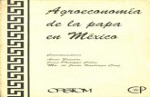 Agroeconomia de la papa en Mexico - IRDhorizon.documentation.ird.fr/exl-doc/pleins_textes/pleins_textes_7/... · agricultura mexicana se ven marcadas por el desarrollo de ... en régimen