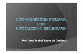Prof. Dra. Mabel Zacur de Jiménez - miramarlab.mx · Paciente Calcemia Magnesemia Fosforo Calciuria Magnesuria 1. ...