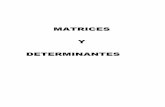Matrices y Determinantes - kambry.eskambry.es/Apuntes Web/Matrices y Determinantes.pdf · INTRODUCCIÓN, MATRICES Y DETERMINANTES Las matrices se utilizan en el cálculo numérico,