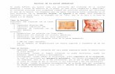 medicina-ucr.commedicina-ucr.com/.../12.-Hernias-de-la-pared-abdominal.docx · Web viewHernias de la pared abdominal Se puede definir una hernia como una protrusión del contenido