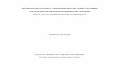 INTERNACIONALIZACIÓN Y PERDURABILIDAD DE CEMEX …repository.urosario.edu.co/bitstream/handle/10336/3704/80769357... · internacionalizaciÓn y perdurabilidad de cemex colombia .