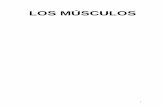 LOS MÚSCULOS - Manténgase sano con CMES Centro …MUSCULOS.pdfde inhibicion autogena, desconectándose la tensión del músculo sometido a estiramiento y facilitando su inmediata