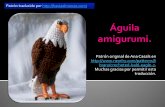 Patrón traducido por guila-amigurumi_hastaelmonyo.pdf · Patrón traducido por Él águila mide 10 cm y no es recomendable como juguete para niños pequeños. Se trabaja en espiral.