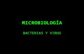 LA CÉLULA PROCARIOTA - Biologia Blog | Blog para los/as …€¦ · PPT file · Web view · 2010-03-08MICROBIOLOGÍA BACTERIAS Y VIRUS BACTERIAS REINO MONERAS (DOMINIOS ARQUEA