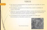 Presentación de PowerPoint - agricultura.uson.mxagricultura.uson.mx/romo/9.- Virus.pdf · Para que la infección se lleve a cabo el virus debe moverse de una célula a otra y debe
