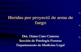 Heridas por proyectil de arma de fuego · Heridas por proyectil de arma de fuego Dra. Diana Cano Canessa Sección de Patología Forense Departamento de Medicina Legal