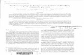 Los insectos plaga de las Myrtaceae frutales en Pucallpa ...horizon.documentation.ird.fr/.../b_fdi_47-48/010009996.pdf · Entre éstas, la guayaba y la pitanga son cultivadas desde