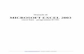 Manuale di MICROSOFT EXCEL 2003 - Alessandro Bonini ·  – licenza creative commons Manuale di MICROSOFT EXCEL 2003 corso base - programma ECDL