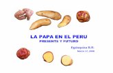 Papa En EL Peru - psi.gob.pe€¦ · CICLOS DE PRODUCCION DE PAPA EN EL PERU. ... Semilla empleada (t)** 405 000 Fertilizantes empleados (t)** 112 000 Empaques utilizados ** 50 millones