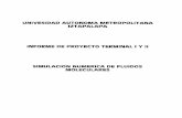 UNIVESIDAD AUTONOMA METROPOLITANA …148.206.53.84/tesiuami/UAM1967.pdf · INFORME DE PROYECTO TERMINAL I Y II SIMULACION NUMERICA DE FLUIDOS ... como suma de interacciones por pares),